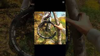 Lam luat din copac 🤣 mtb crash bicilete mountainbike [upl. by Irtimed]