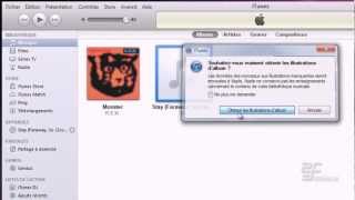 Ripper un CD avec Itunes [upl. by Hgalehs]