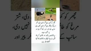 Urdu Aqwal  Gehri Batain  Sunehri Batain  Motivational quotes  Urdu quotes Aqwal e Zarishorts [upl. by Atipul778]