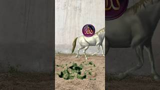 Madine Waleshortvideo vfxshorts islamicvideo trending [upl. by Leirol]