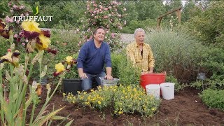 Calendrier du jardinier juin que faire au jardin ou sur la terrasse   Truffaut [upl. by Ajidahk]