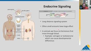 BIOL201 Ch91  Signaling Molecules and Cellular Receptors [upl. by Orville947]