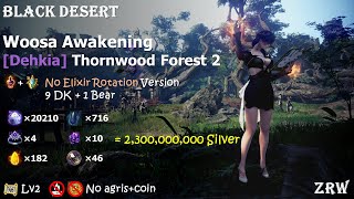 BDO Woosa Awakening Dehkia Thornwood Forest 20210hr Lv2 9DK1Bear without elixir rotation [upl. by Yralam]