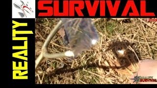 How To Start A Fire With A Fresnel Lens  Magnifying Glass [upl. by Dric]