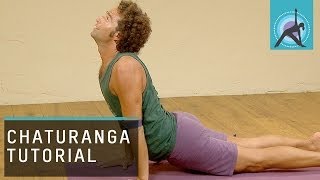 Chaturanga Workshop Yoga with David Lurey [upl. by Waechter441]