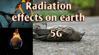 Radiation Effects on earth explained 5G  Tamil   Sathish   SK [upl. by Hebner]