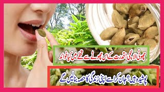 Choti Elaichi Ke Fayde  Cardamom Benefits in urdu  Elaichi سبز الائچی کے فائدے اور طریقہ استعمال [upl. by Seabrooke]