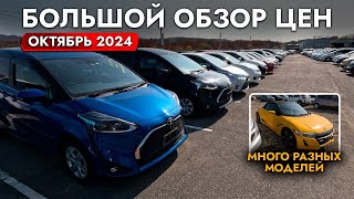 САМЫЕ ПОПУЛЯРНЫЕ АВТО❗️ БОЛЬШОЙ ОБЗОР ЦЕН❗️ УНИВЕРСАЛЫ МИНИВЭНЫ КРОССОВЕРЫ❗️ОКТЯБРЬ 2024 [upl. by Cassaundra991]