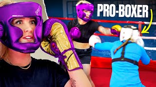 GK Barry fights a PROFESSIONAL Boxer  Great British Adventures 1 [upl. by Annaed]