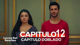 Lazos Del Destino Capitulo 12 Doblado en Español  ¡Hoy vamos a hablar de todo [upl. by Ical778]