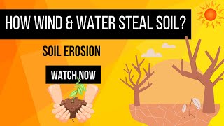 “Soil Erosion Explained 🌍 Why Does Soil Disappear” [upl. by Gnoy]