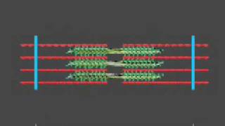 How a muscle contraction is signalled  Animation [upl. by Abshier]