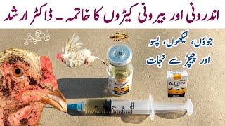 Chicken Lice and Mite Treatment  Ivermectin injection for Ecto and Endoparasites in Poultry [upl. by Giacobo]