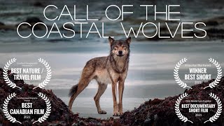 Call Of The Coastal Wolves  British Columbia sea wolf minidocumentary [upl. by Rednaxela850]