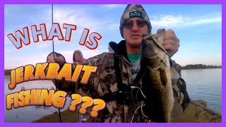 WHAT IS JERKBAIT FISHING [upl. by Winfrid179]