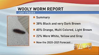 How to Predict Winter with a Woolly Bear Caterpillar [upl. by Ardnod137]