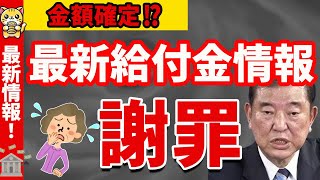 【最新情報】給付金額が検討されている件について【住民税非課税世帯年金世帯】 [upl. by Itagaki]