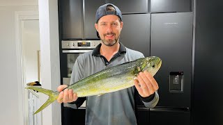 Australia Day Fishing Wollongong [upl. by Cobby]