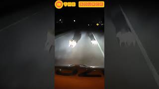 Dramatic 18Wheeler Collision Caught on Camera  22 [upl. by Chiou]