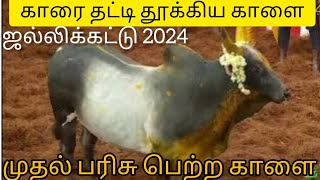 First Price winner of alanganallur jallikattu 2024 [upl. by Harp980]