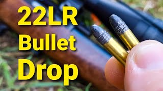 22LR Bullet Drop  Demonstrated and Explained [upl. by Schram]