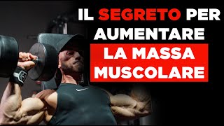 Come creare una SCHEDA per la MASSA MUSCOLARE [upl. by Utir]