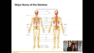 Axial Skeleton [upl. by Natehc]