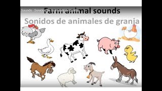 Animal Farm Sounds Rooster Cow Chicken Pig Horse Donkey Sheep  Sonidos de Animales de Granja [upl. by Hartzel]