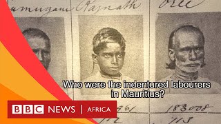 Indentured Labour in Mauritius Explained  BBC Whats New [upl. by Ifill]