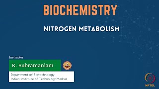 Nitrogen Metabolism [upl. by Novar]