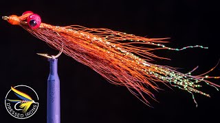 Tying the Clouser Deep Minnow  Dressed Irons [upl. by Dnanidref]