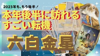 六白金星さん✨🌟2023年下半期に起こるものすごい転機✨❣️霊感リーディングしてみました🌟⤴️生まれ変わるような大きな変化が✨❤️ [upl. by Michelle]