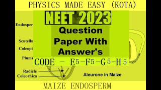 PREVIOUS YEAR NEET 2023 CODE E5  F5  G5  H5 QUESTION PAPER WITH ANSWER KEY MAIZE ENDOSPERM  4 [upl. by Lyrej]