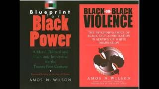 Amos N Wilson  Africans in the New World Order [upl. by Cissy84]