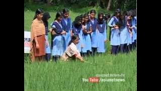 Manchari Thirumalai model farming by avoiding chemical pesticides [upl. by Hachmin178]