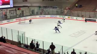 Baltzell Jackson  Hockey Highlights A [upl. by Nancee]