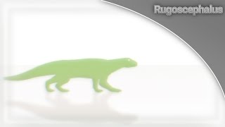 • Rugoscephalus  Sticknodes Animation • [upl. by Einhapets]