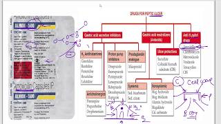 Amoxicillin  Azithromycin  Ciprofloxacin  Cefpodoxime  Moxifloxacin  Cotrimazole  Mechanism [upl. by Yerroc]