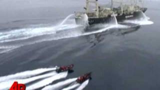 Raw Video Whalers Launch Attack in Antarctic [upl. by Alenoel]