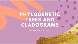 Constructing a Cladogram [upl. by Blackman]