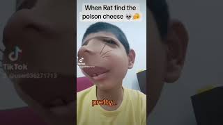 When the rat finds the poisonous cheese💀🧀 cheese shorts meme poison [upl. by Bow]