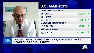 Smallcap midcap and value stocks look discounted even without rate cuts says Whartons Siegel [upl. by Naujahs]