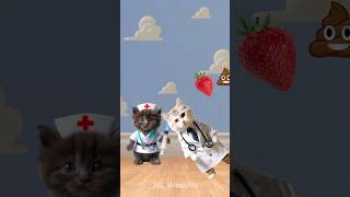 Haik haik haik yammy shortanimation funny cat [upl. by Stclair]