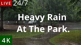 Heavy Rainfall at the Park [upl. by Diego714]