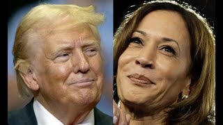 Noticiero 5pm Las últimas encuestas ¿Quién gana entre Harris y Trump [upl. by Adnohs]