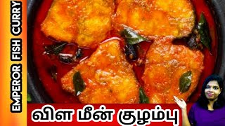 Fish Catching and Cooking  Viral Meen Kulambu  Snakehead Murrel Fish Curry Recipe  Village Food [upl. by Eelatan800]