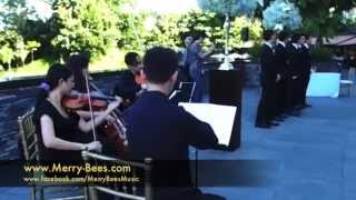 String Quartet  Disney songs from Lion King Mulan and Aladdin [upl. by Yarvis]