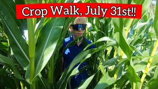 Wednesday The 31st of July Crop Walk Crop Walk Wednesday Episode 1 [upl. by Olegnaleahcim]