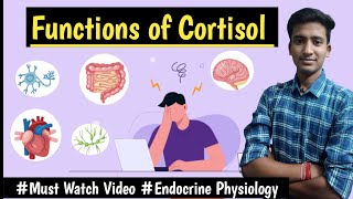 Cortisol Glucocorticoids  Endocrine Physiology LecturesMBBS Ashish [upl. by Cathy30]