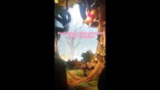 Poohs Hunny Hunt onride POV  Tokyo Disneyland [upl. by Zuliram]